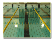 横須賀水泳協会 小学生水泳教室